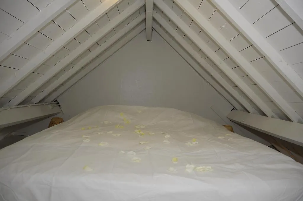 Attic Room Judy'S Zandvoort Apartment