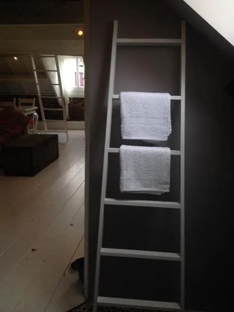 Attic Room Judy'S Zandvoort 0*,